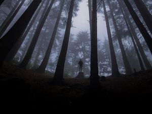 Preview wallpaper loneliness, alone, forest, fog, darkness