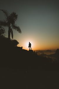 Preview wallpaper loneliness, alone, silhouette, sunset, palm