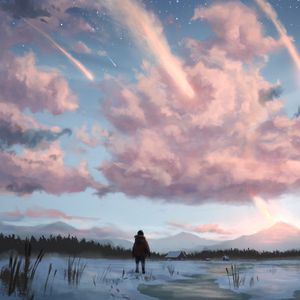 Preview wallpaper loneliness, alone, winter, canvas, art