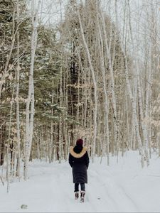 Preview wallpaper loneliness, forest, snow, winter, sad