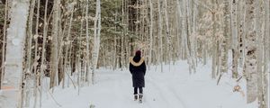 Preview wallpaper loneliness, forest, snow, winter, sad