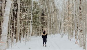 Preview wallpaper loneliness, forest, snow, winter, sad