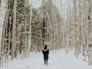 Preview wallpaper loneliness, forest, snow, winter, sad