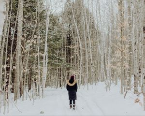 Preview wallpaper loneliness, forest, snow, winter, sad