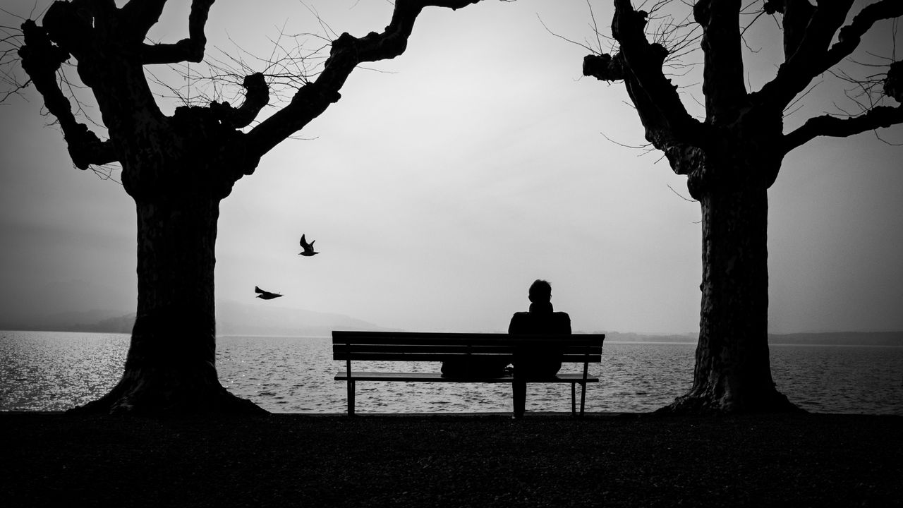 Wallpaper loneliness, lonely, bench, silhouette