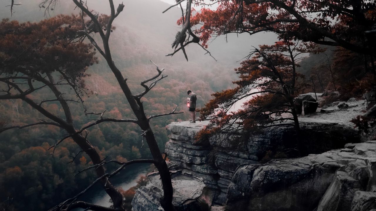 Wallpaper loneliness, mountains, fog, trees