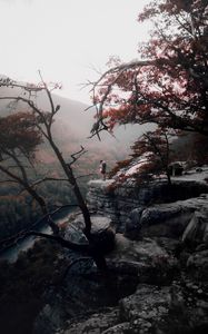 Preview wallpaper loneliness, mountains, fog, trees