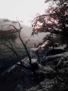 Preview wallpaper loneliness, mountains, fog, trees