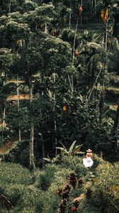 Preview wallpaper loneliness, palm trees, tropics, trees