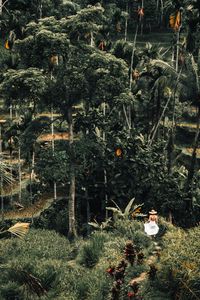 Preview wallpaper loneliness, palm trees, tropics, trees