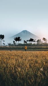 Preview wallpaper loneliness, solitude, field, mountain, palm trees, indonesia