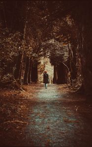 Preview wallpaper loneliness, walk, autumn, trees, forest