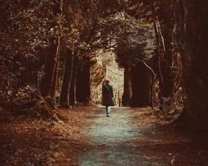 Preview wallpaper loneliness, walk, autumn, trees, forest