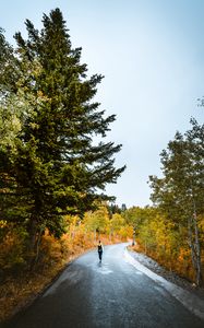 Preview wallpaper loneliness, walk, road, autumn, solitude, forest