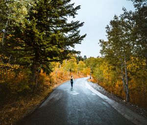 Preview wallpaper loneliness, walk, road, autumn, solitude, forest