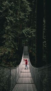 Preview wallpaper lonely, loneliness, bridge, forest