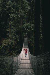 Preview wallpaper lonely, loneliness, bridge, forest