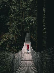 Preview wallpaper lonely, loneliness, bridge, forest