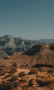 Preview wallpaper lonely, loneliness, canyon, bushes