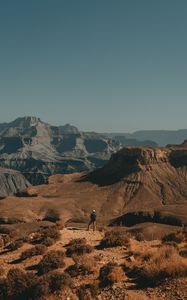 Preview wallpaper lonely, loneliness, canyon, bushes