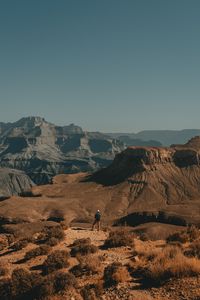 Preview wallpaper lonely, loneliness, canyon, bushes