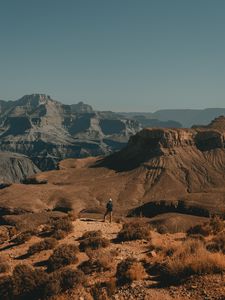 Preview wallpaper lonely, loneliness, canyon, bushes