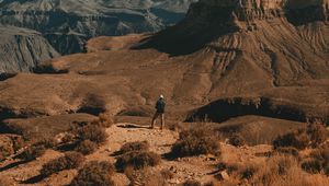 Preview wallpaper lonely, loneliness, canyon, bushes