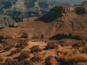 Preview wallpaper lonely, loneliness, canyon, bushes