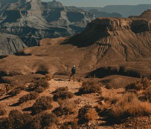 Preview wallpaper lonely, loneliness, canyon, bushes