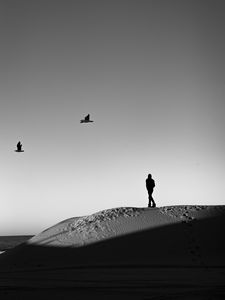 Preview wallpaper lonely, loneliness, desert, bw