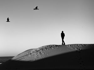 Preview wallpaper lonely, loneliness, desert, bw