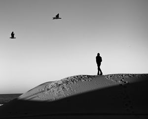 Preview wallpaper lonely, loneliness, desert, bw