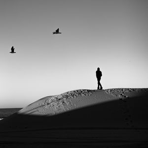 Preview wallpaper lonely, loneliness, desert, bw