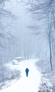 Preview wallpaper lonely, loneliness, forest, snow