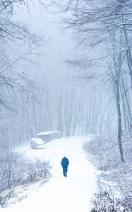 Preview wallpaper lonely, loneliness, forest, snow