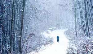 Preview wallpaper lonely, loneliness, forest, snow