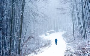 Preview wallpaper lonely, loneliness, forest, snow