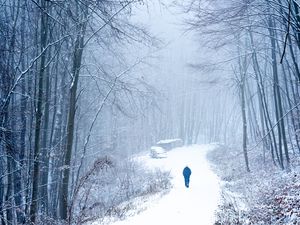 Preview wallpaper lonely, loneliness, forest, snow