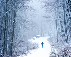 Preview wallpaper lonely, loneliness, forest, snow