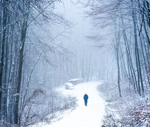 Preview wallpaper lonely, loneliness, forest, snow