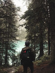 Preview wallpaper lonely, loneliness, forest, trees