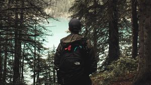 Preview wallpaper lonely, loneliness, forest, trees