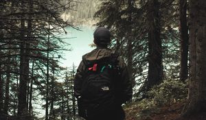 Preview wallpaper lonely, loneliness, forest, trees