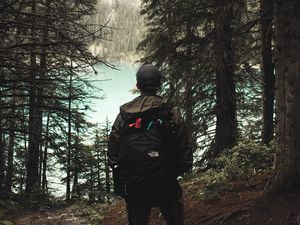 Preview wallpaper lonely, loneliness, forest, trees