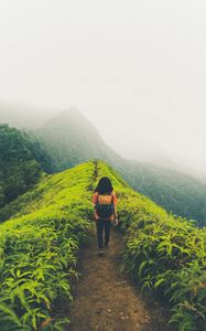 Preview wallpaper lonely, loneliness, path, mountains, fog