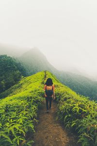 Preview wallpaper lonely, loneliness, path, mountains, fog