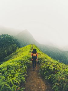 Preview wallpaper lonely, loneliness, path, mountains, fog