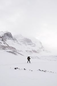 Preview wallpaper lonely, loneliness, rocks, snow