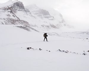 Preview wallpaper lonely, loneliness, rocks, snow