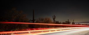 Preview wallpaper long exposure, cactus, starry sky, road